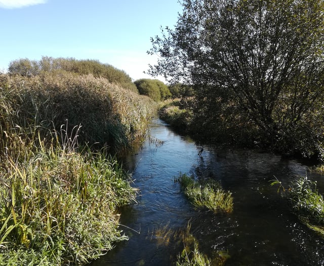 Meirionnydd Ramblers will explore Pwllheli's diverse habitats