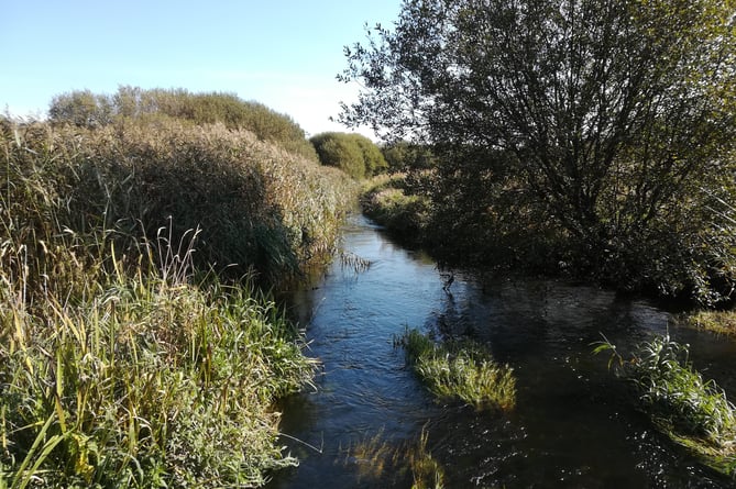 Pwllheli nature reserve