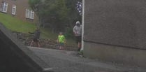 Pwllheli 'incident' - police want to identify these people