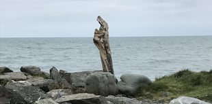 Dog walker spots festive 'Madonna and child' in driftwood on beach