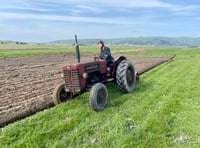 New programme seeks growers to diversify crops for local food market