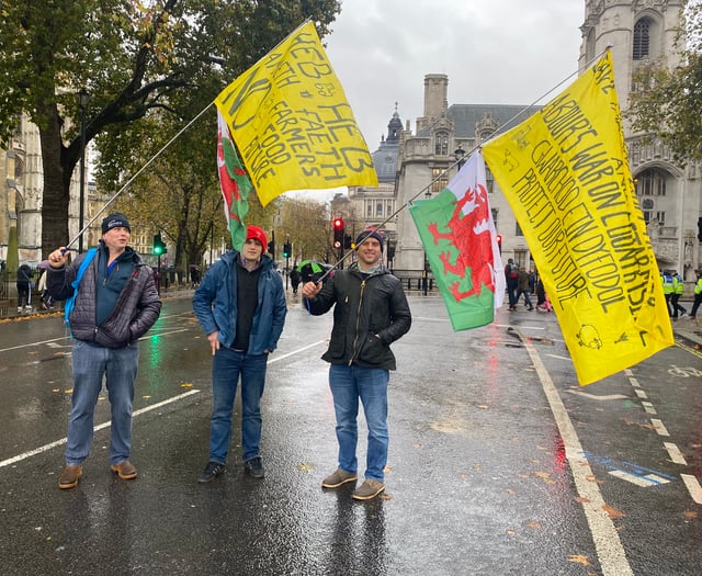 What next for farmers following London protest?