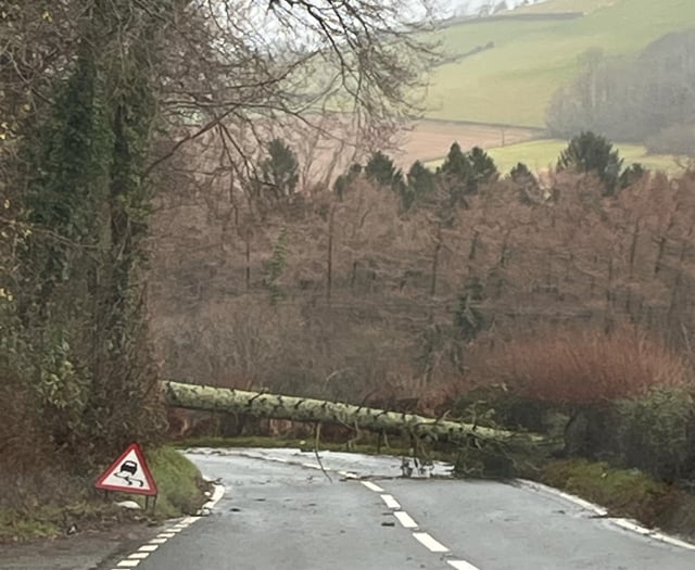 Dyfed-Powys Police tell people to stay at home