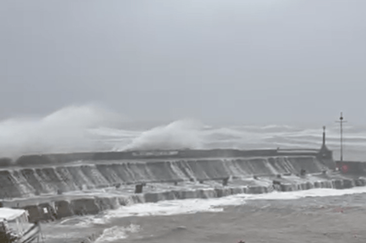 A screenshot from Kate Williams' video of New Quay harbour