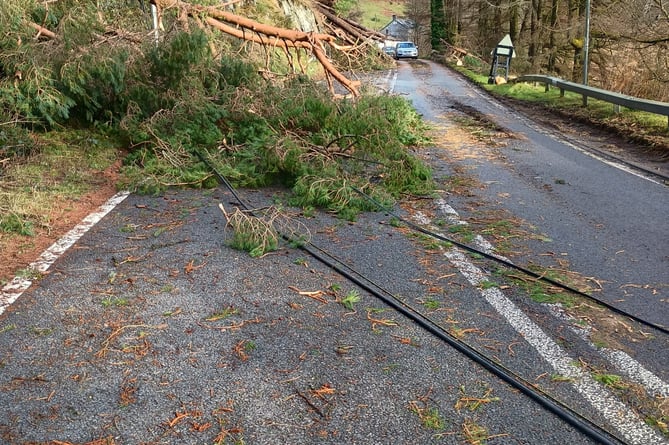 Traffig Cymru Gogledd a Chanolbarth Traffic Wales North & Mid shared this photograph of the A44