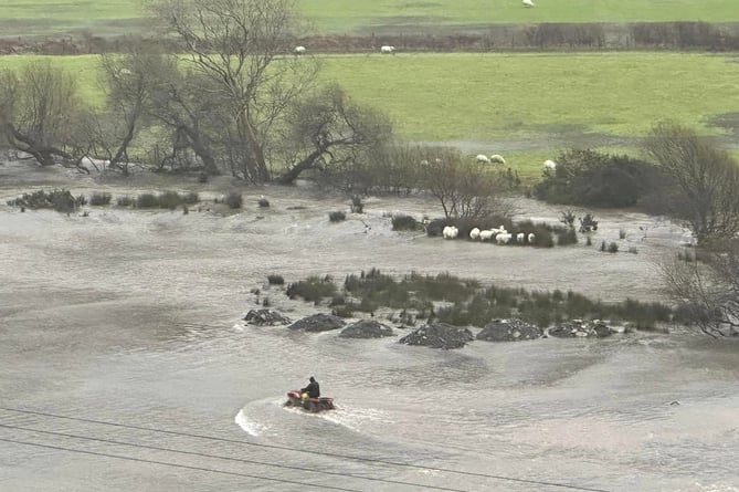 Alan Jones Abergynolwyn saw farmer Dei Jones rescuing his sheep from the storm