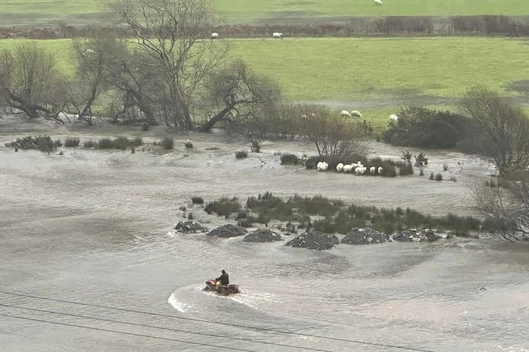 Alan Jones Abergynolwyn saw farmer Dei Jones rescuing his sheep from the storm