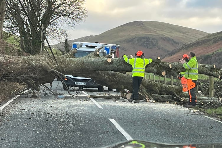 Cheryl Bonnett took this photograph at 10.50am on Sunday of a tree down just past The Woodlands Holiday Park in Tywyn