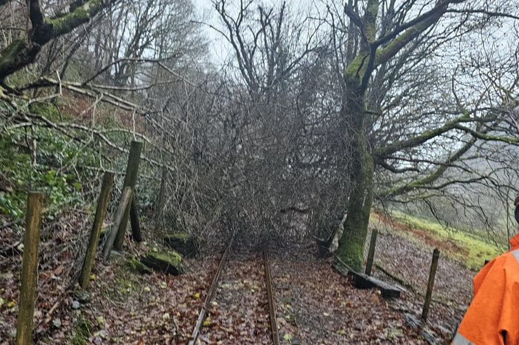 A line inspection revealed three trees blocking the line