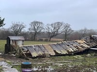 Animal rescue shelter destroyed by Storm Darragh