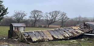 Animal rescue shelter destroyed by Storm Darragh