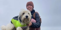 Therapy dog will spread Christmas cheer in Tywyn