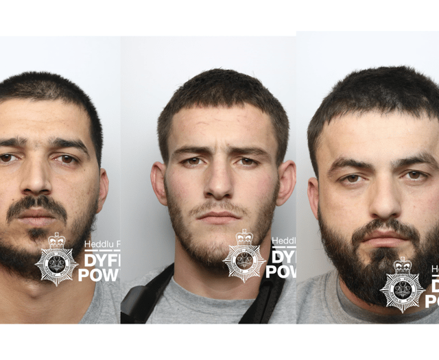 Three jailed for growing cannabis in former school