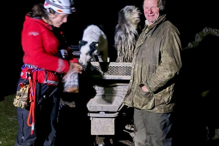 Aberdyfi Search & Rescue Team pic of the successful dog rescue