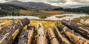 Ramblers tackle Blaenau and Cwm Mynach