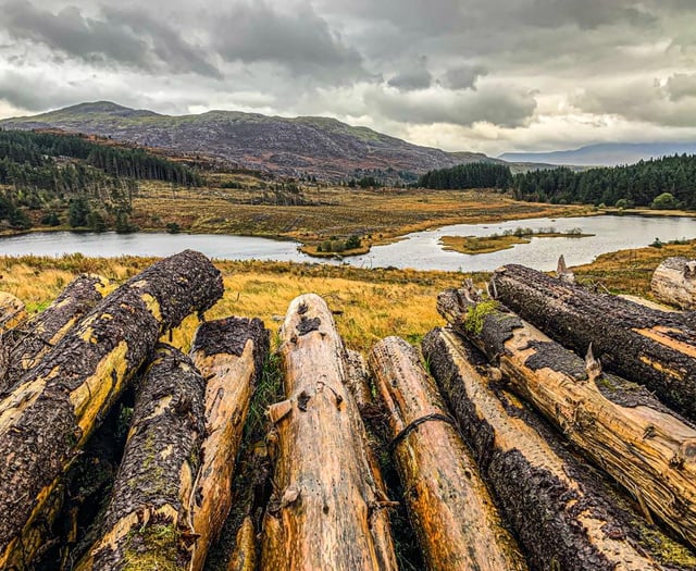 Ramblers tackle Blaenau and Cwm Mynach