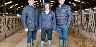 NFU president takes politicians for a day on the farm