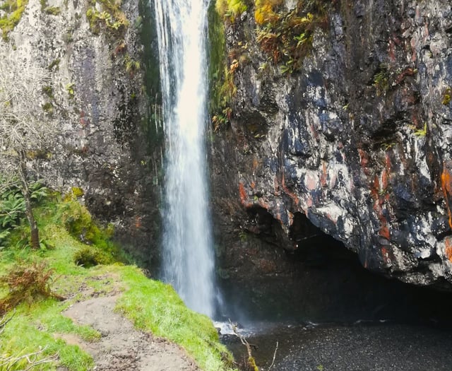 Where will Meirionnydd Ramblers walk next?