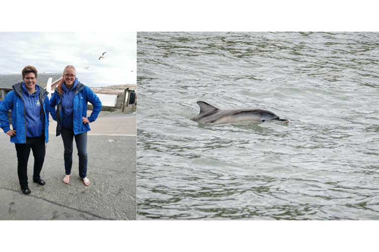 Dolphin Spotting Boat trips