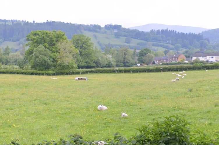 Llanidloes new homes